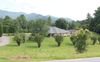 56 W Vineyard Ln photo